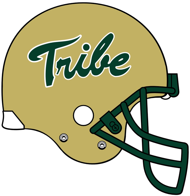 William and Mary Tribe 2009-Pres Helmet Logo iron on transfers for fabric